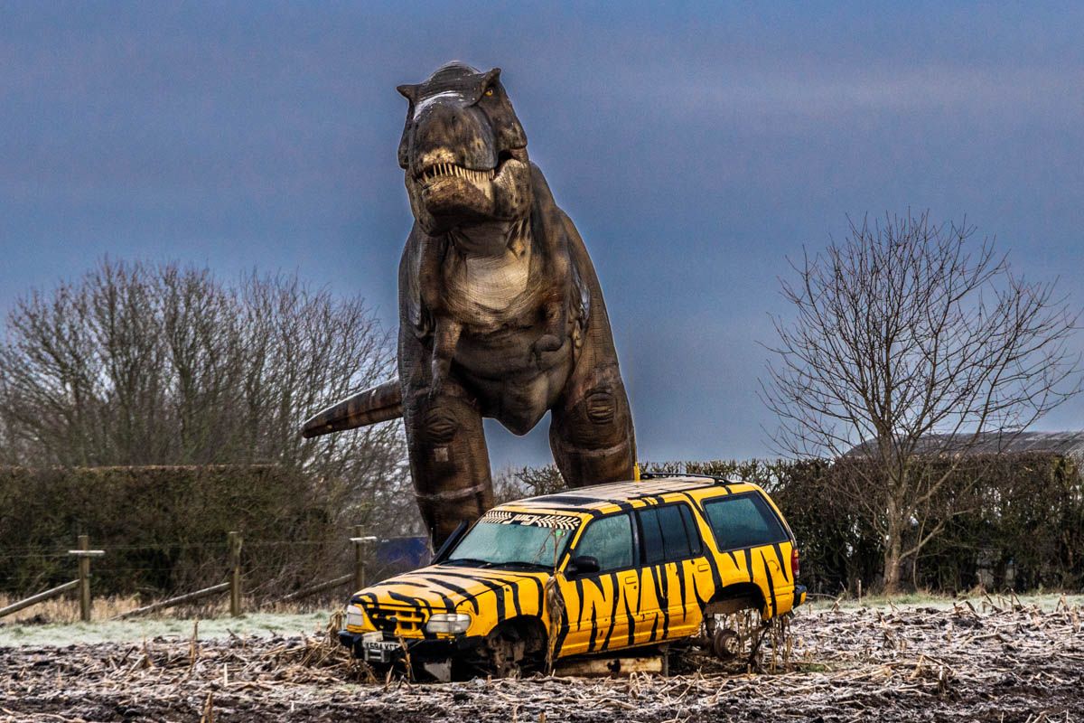 Passing the edge of Cattows Farm, Heather's answer to Jurassic Park. Do not feed the animals!